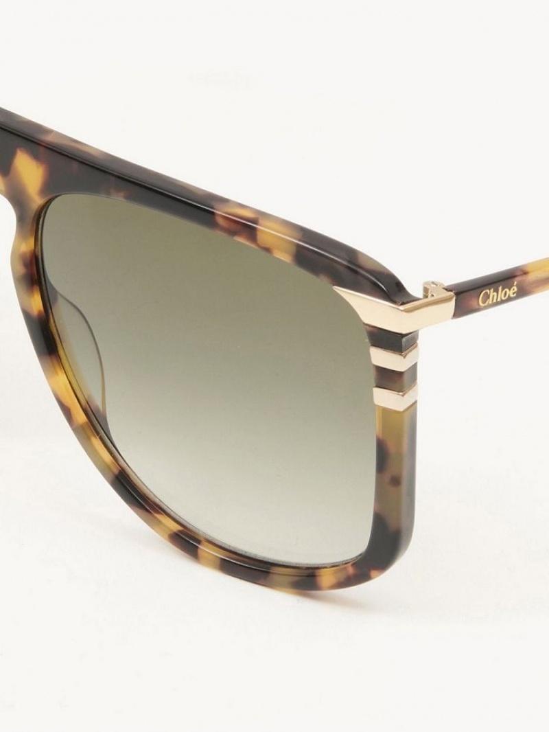 Havana Chloe West Sunglasses | CHE-SR14565