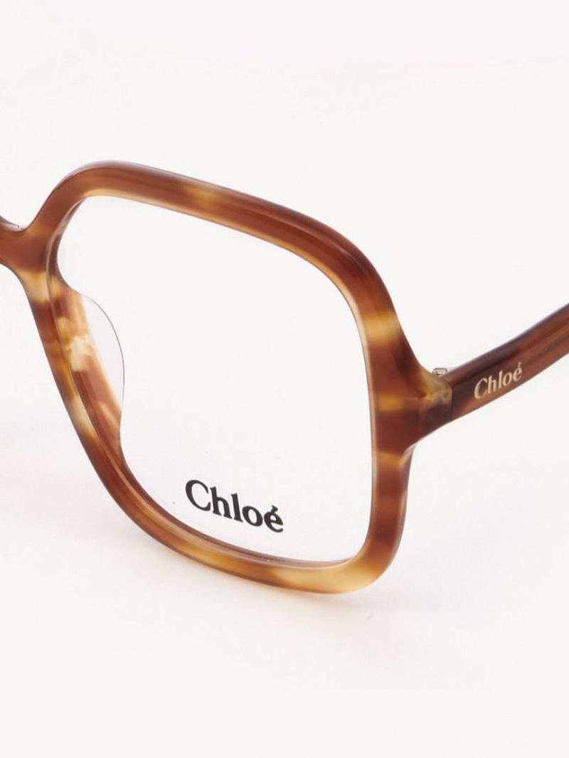 Light Havana Chloe Zelie Eyeglasses | CHE-SR14585