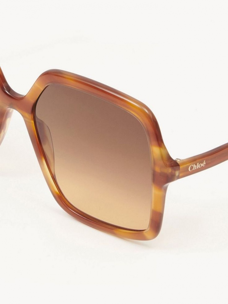 Light Havana Chloe Zelie Sunglasses | CHE-SR14562