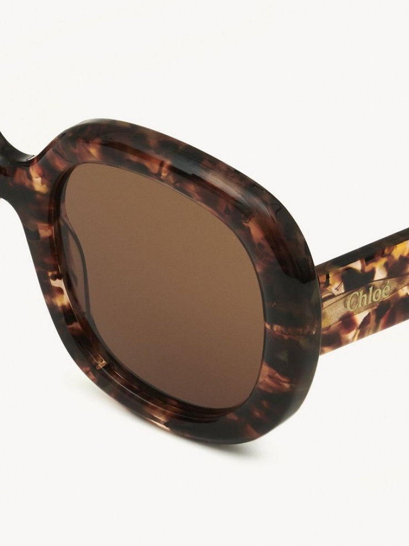 MARBLE HAVANA Chloe Gayia Sunglasses | CHE-SR14578