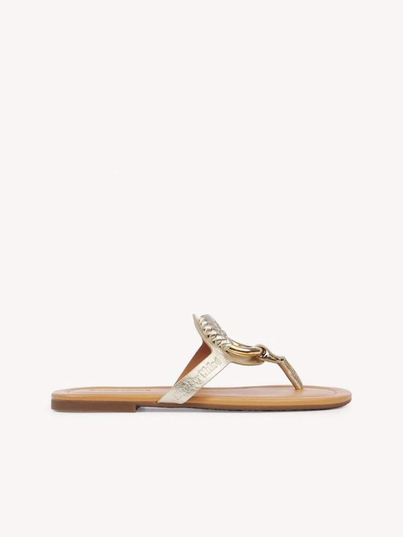 PLATINO Chloe Hana Flip-flop Flats | CHE-SR14829