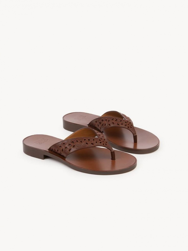 Red Ochre Chloe X Eres Paz Flat Sandals | CHE-SR14145