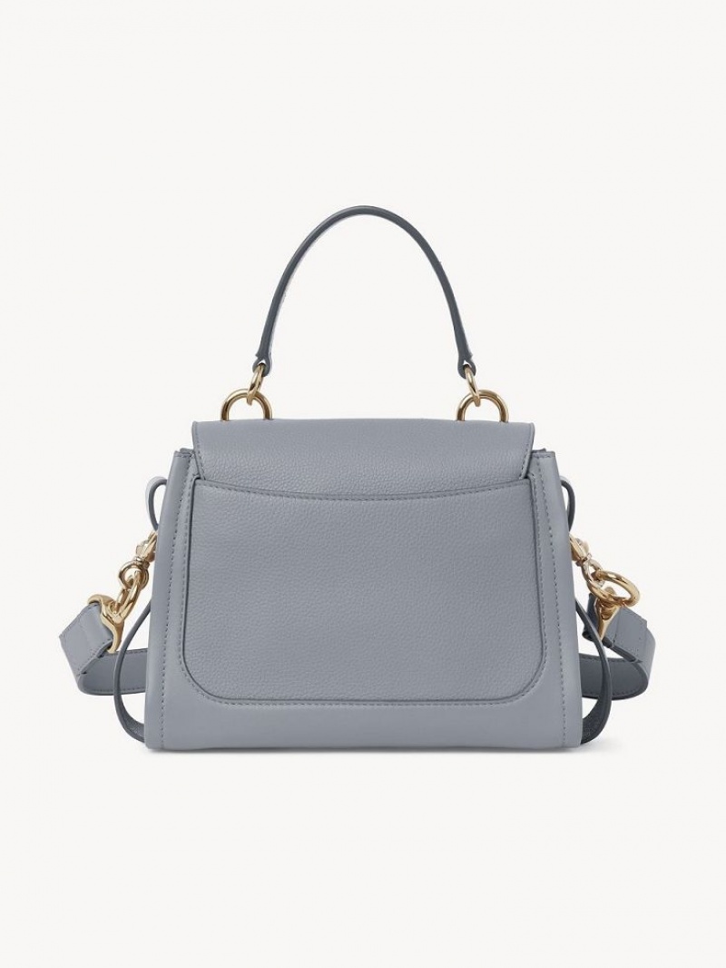 STORM BLUE Chloe Mini Tess Day Crossbody Bags | CHE-SR13598