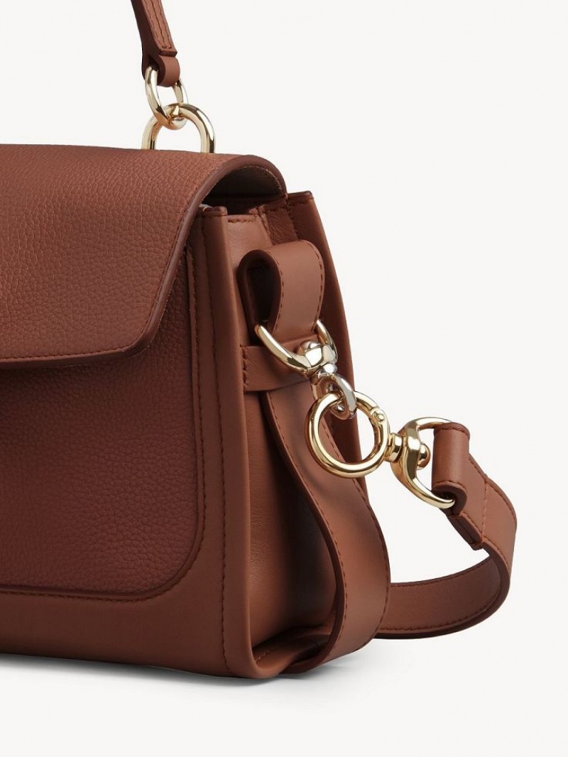 Sepia Brown Chloe Mini Tess Day Crossbody Bags | CHE-SR13479