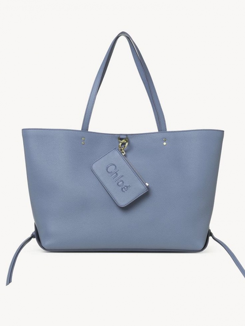 Shady Cobalt Chloe Sense Medium East-west Shoulder Bags | CHE-SR13454